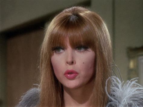 Gilligan's Island Season 3 Image | Fancaps