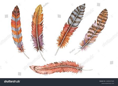 Coloring Turkey Feathers How To Draw A Turkey Arty Crafty Kids