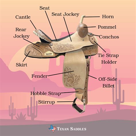 Parts Of A Saddle: Your Guide To Western Horse Saddles.