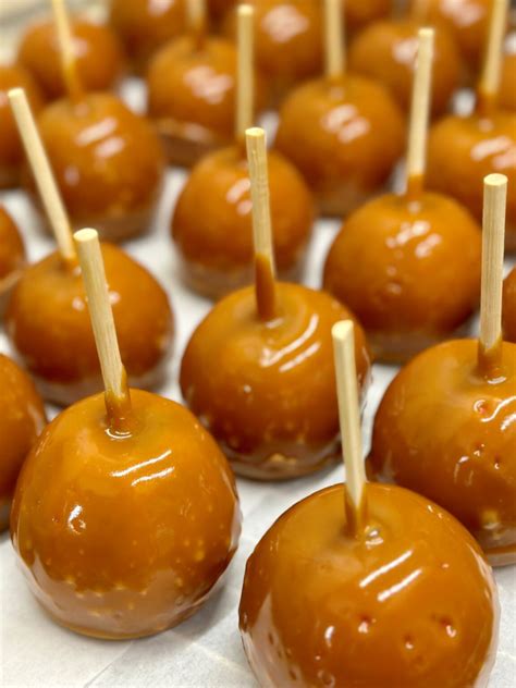 Bakery - Boa Vista Orchards