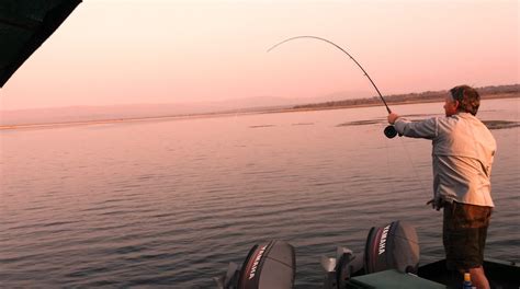 KZN HuntingActivities - KZN Hunting