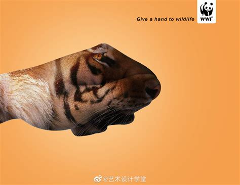 Give A Hand To Wildlife. 向野生动物伸出救援之手