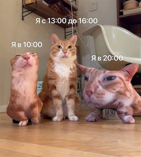 Pin on мемы посмеяца поплакац in 2024 | Fun, Memes, Funny