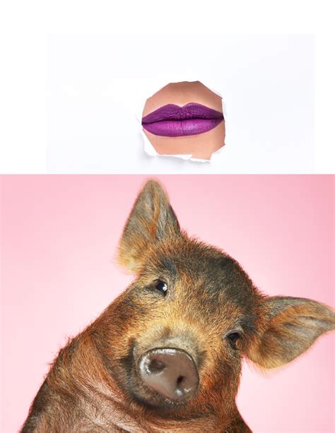 State of Colorado is Tone Deaf. - Sault Tribe Guardian