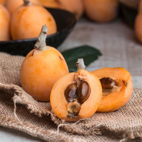 How Long Does It Take Loquat Seeds To Germinate at Declan Goodisson blog