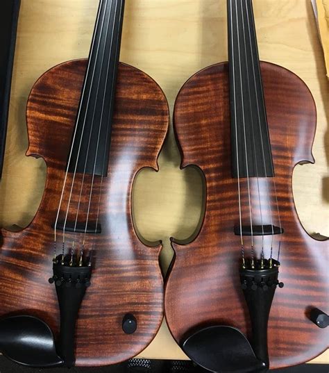 Different Types Of Violins Names at John Halliburton blog