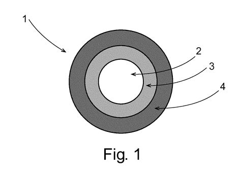 Pulsed Release Phenylephrine Dosage Forms - Eureka | Patsnap