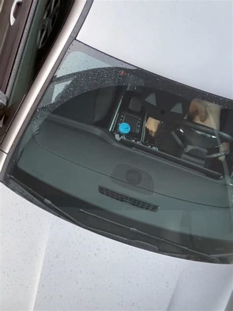 Flashing The Neighbor