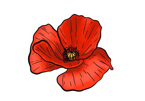 How To Draw A Flower Easy Tutorial | Design Bundles