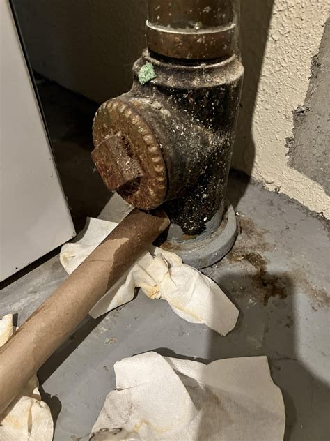 Sewer clean out leak? : r/Plumbing