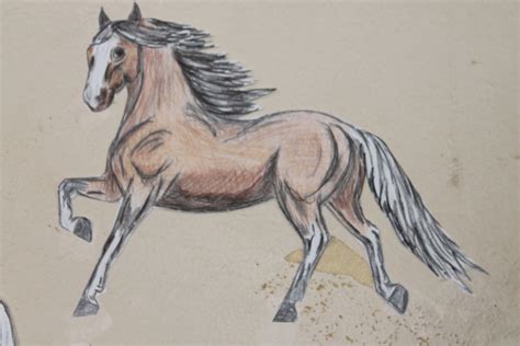 Horses Easy Drawing at GetDrawings | Free download