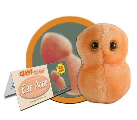 Ear Ache (Streptococcus Pneumoniae) - Giant Microbes Canada