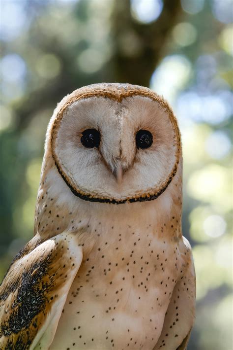 Beautiful+Naked+Anime+Girls Photos, Download The BEST Free Beautiful ...