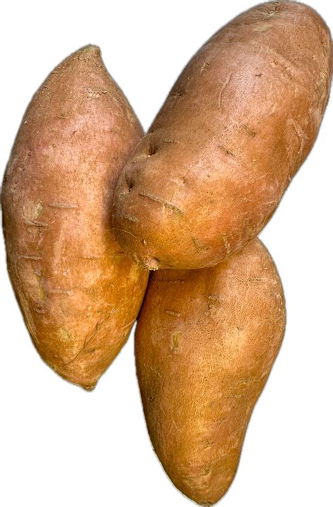 SPAIN'S SUPERMARKET - Grenada MS - Hours, Directions, Reviews - Loc8NearMe