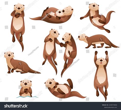 Sea Otter Illustration