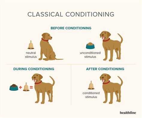 Classical Conditioning: How It Works and How It Can Be Applied
