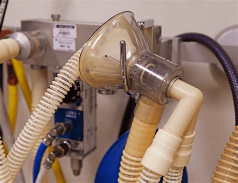 Laughing Gas Dentist