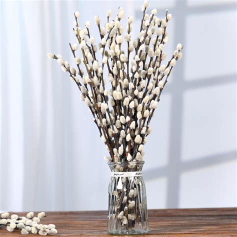 Amazon.com: Natural Preserved Dried PussyWillow Branches for Vases, 30 ...