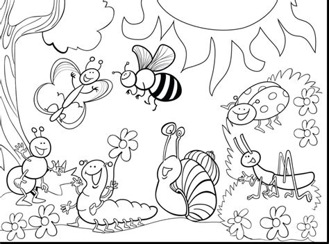 Insect Coloring Pages - Printable Coloring Pages. FREE