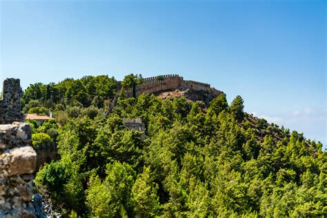 Big+Butts+In+Thongs Photos, Download The BEST Free Big+Butts+In+Thongs ...