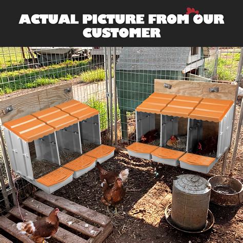 3 Hole Chicken Nesting Box Hen Chook Roll Away Modular Laying Boxes ...