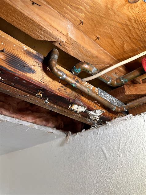 How Deferred Water Heater Maintenance Can Lead to Pinhole Leaks in ...