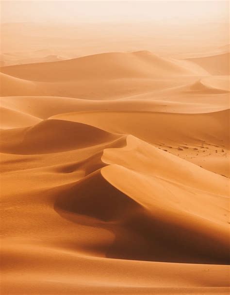 Arabian desert saudi arabia ii 100 x 70cm black no border – Artofit
