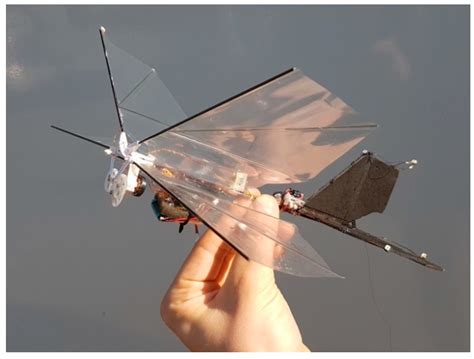 Flow Visualization around a Flapping-Wing Micro Air Vehicle in Free ...
