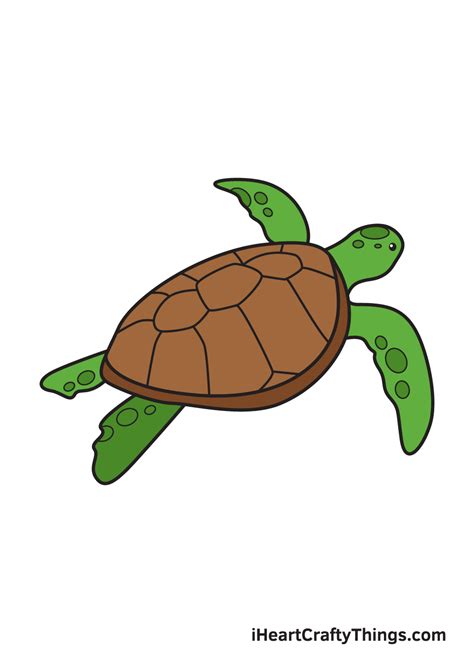 How To Draw A Turtle Outline at Leonardo Mathews blog