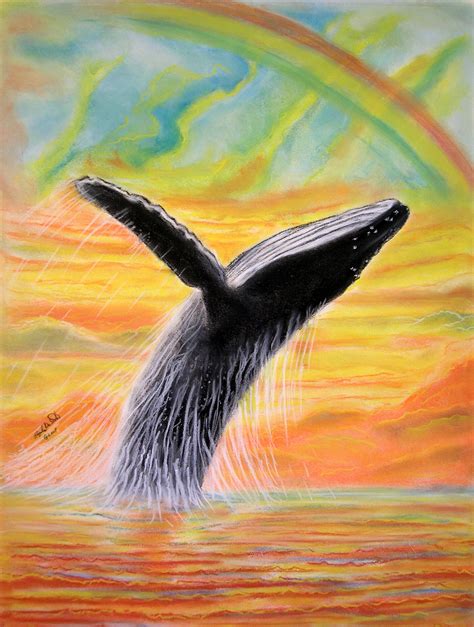 Humpback Whale Breaching Drawing