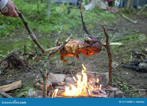 Roasting Chicken Over a Campfire Stock Photo - Image of clever ...