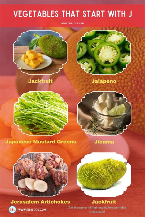 Vegetables That Start With J - English as a Second Language