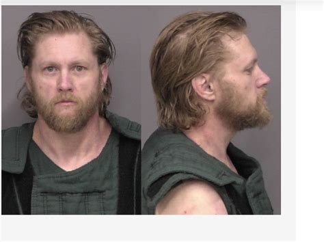 Saline County Jail Bookings, January 2