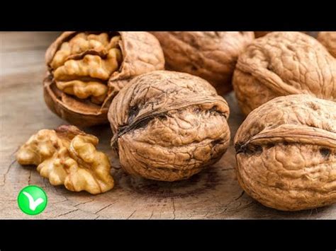 Чем полезны грецкие орехи? Кому нельзя употреблять орехи и почему ...