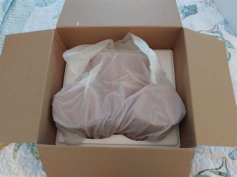 $42/mo - Finance TANTALY 23.1LB Sex Doll Men Sex Toys Realistic Big Butt Pocket Pussy Ass Tight ...