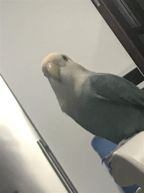 Helluva Boss: Why Belphegor Controls The Sloth Ring #shorts : r ...