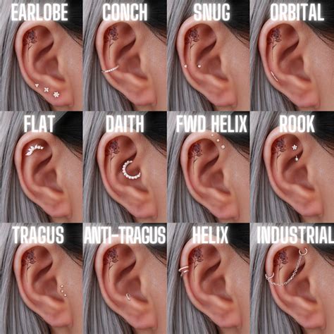 13 Types of Popular Ear Piercings | Ear piercings chart, Cool ear ...