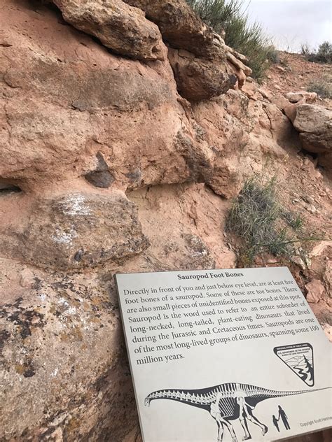 3 Days in Moab, Utah Itinerary: What to See, Do, and Eat