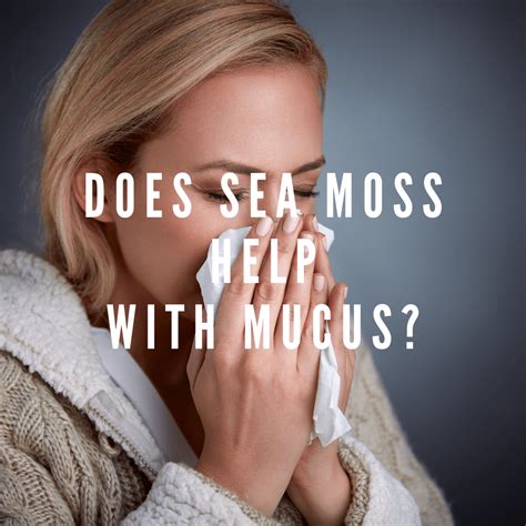 Does Sea Moss Help With Eczema at Phyllis Mosier blog