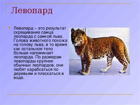 Презентация по биологии на тему "Гибриды животных". Область знаний ...