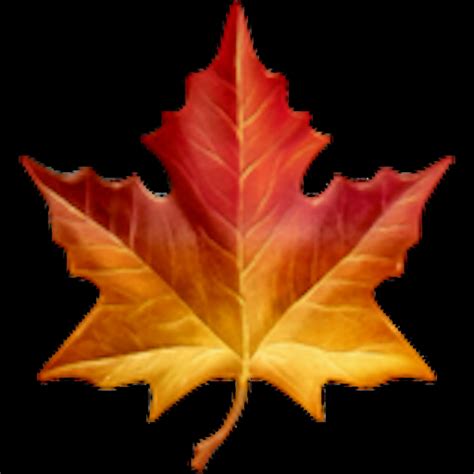 🍁 Maple Leaf Emoji Copy Paste 🍁