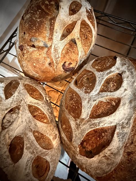 Artisan Cranberry Walnut Sourdough - Leahanne's Heritage Breads