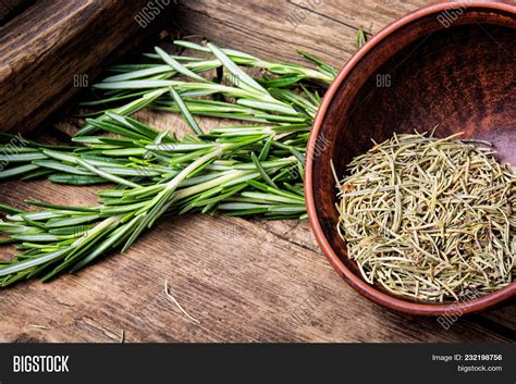 Fresh Rosemary En Espanol at Odessa Anderson blog