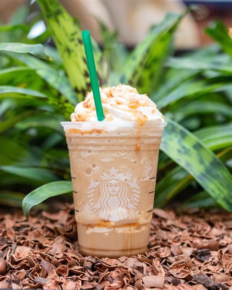 Caramel Ribbon Crunch Creme Frappuccino Nutrition at Maddison Loch blog
