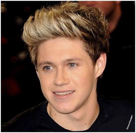 Collection 100+ Pictures Pictures Of Niall From One Direction Sharp