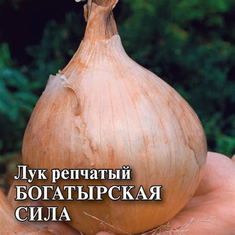 Семена Лук репчатый Богатырская сила, 500г, Гавриш, Фермерское подворье ...