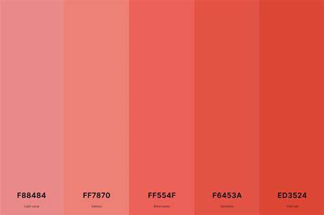 25 best coral color palettes with names and hex codes – Artofit