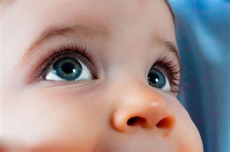When Do Your Eyes Stop Growing? Eye Development Timeline