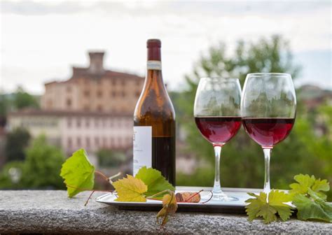 10 Best Italian Red Wine Types- Red Wines in Italy | Italy Best