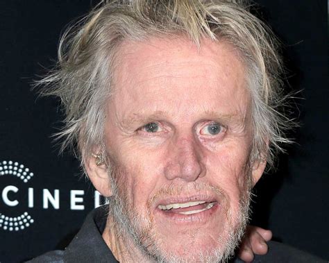 Gary Busey Mugshots Nick Nolte Trivia IMDb